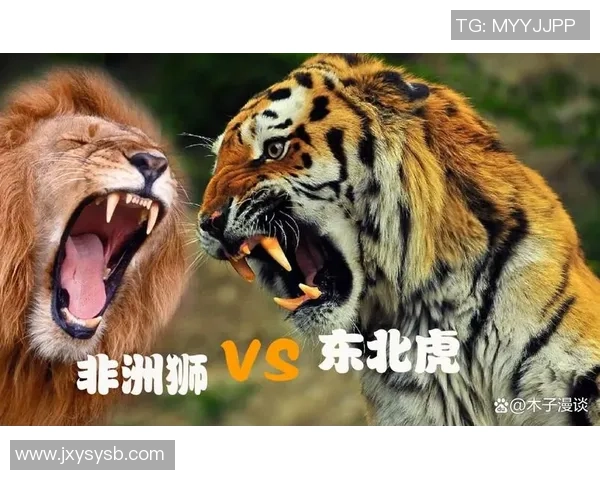 足球场上最具攻击性的球星：谁才是最强暴力之王的真正代表